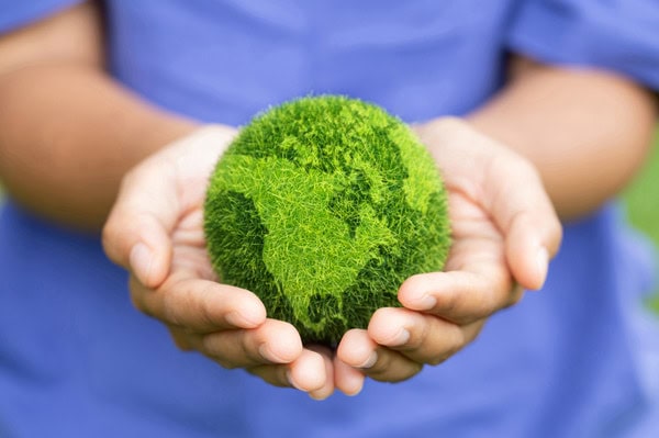 Wurzer Umwelt – Engagement für Umwelt und Gemeinschaft